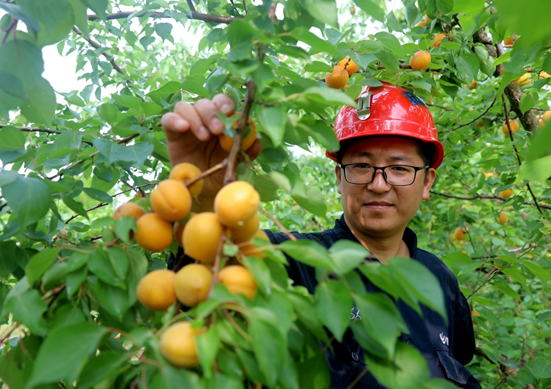 9Z0A2184.JPG 9Z0A2184.JPG